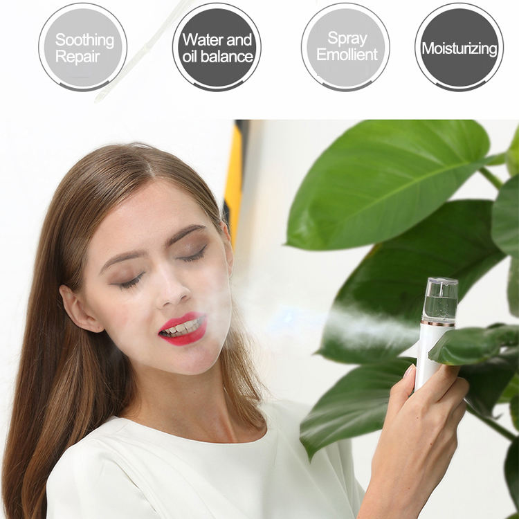 FACIAL STEAMER – IMPORT DIRECT FROM CHINA | PROFESSIONAL SKINCARE & BEAUTY DEVICE FOR INDIAN MARKET