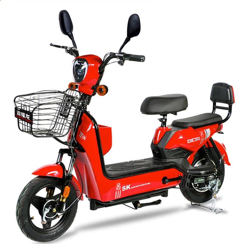 Speed Electric City Bike