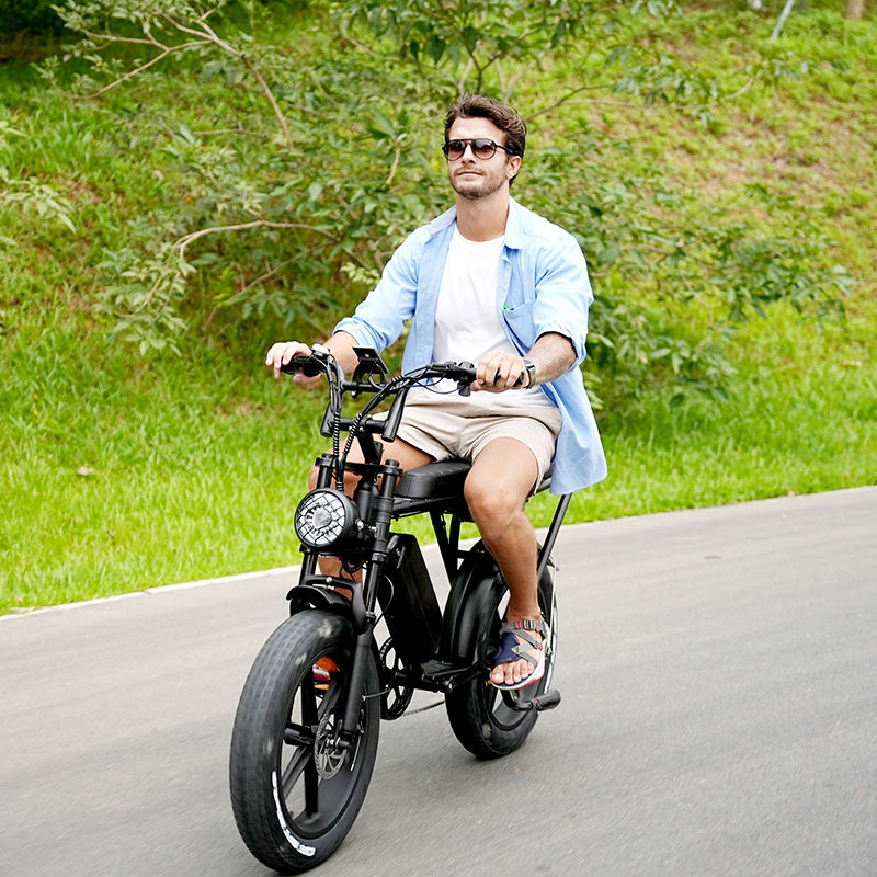 Speed Electric City Bike