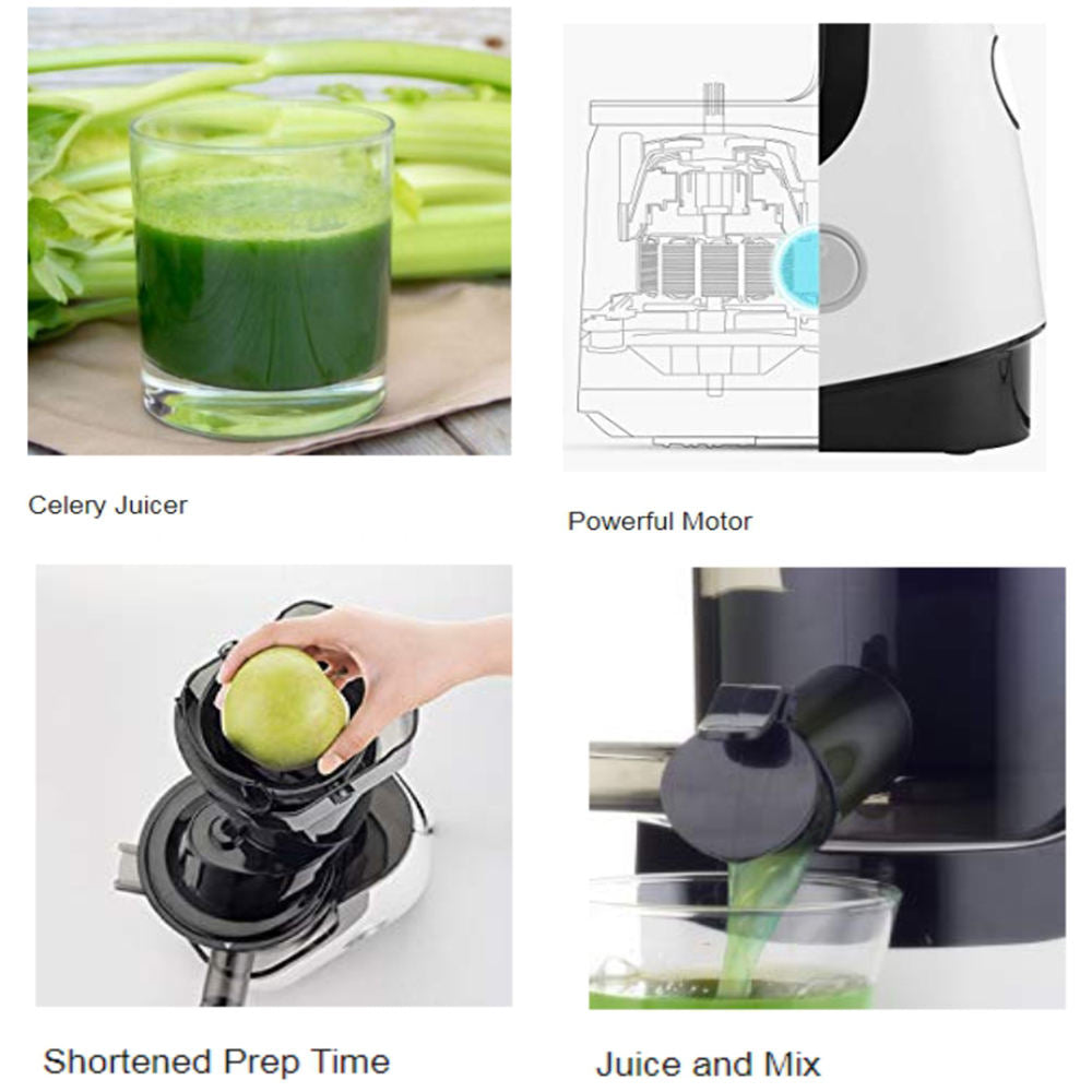 SLOW JUICER – IMPORT DIRECT FROM CHINA | COLD PRESS & NUTRITIONAL JUICING MACHINE FOR INDIAN MARKET