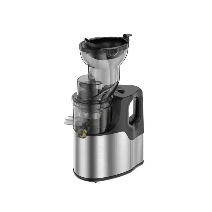 SLOW JUICER – IMPORT DIRECT FROM CHINA | COLD PRESS & NUTRITIONAL JUICING MACHINE FOR INDIAN MARKET