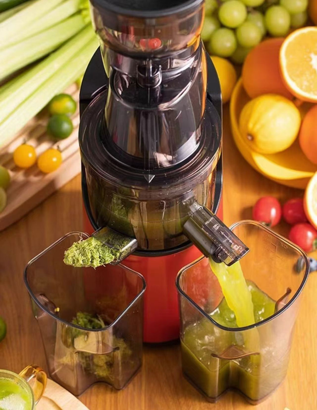 SLOW JUICER – IMPORT DIRECT FROM CHINA | COLD PRESS & NUTRITIONAL JUICING MACHINE FOR INDIAN MARKET